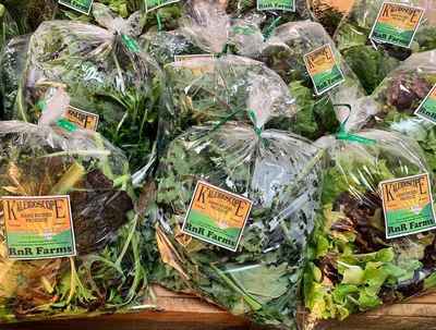 Lettuce_and_greens_12-19